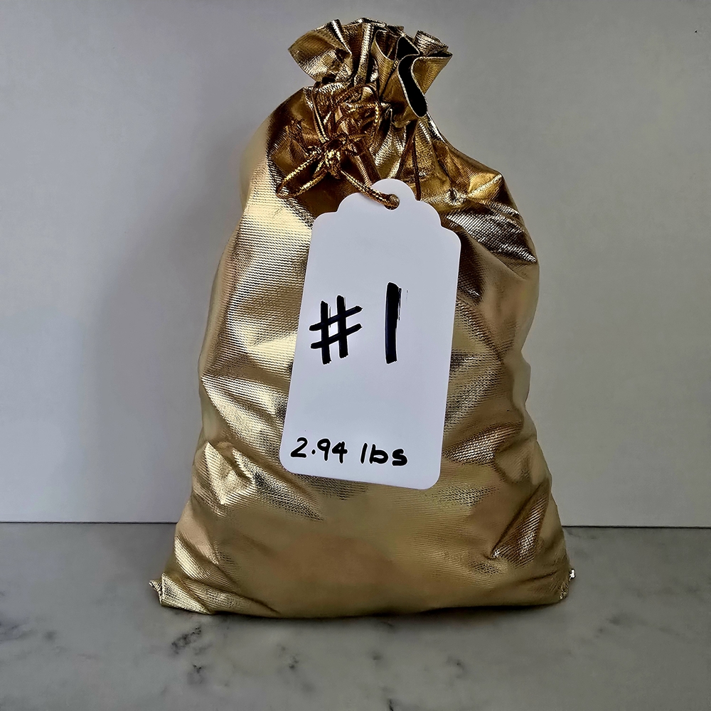 MYSTERY Jewelry Bag